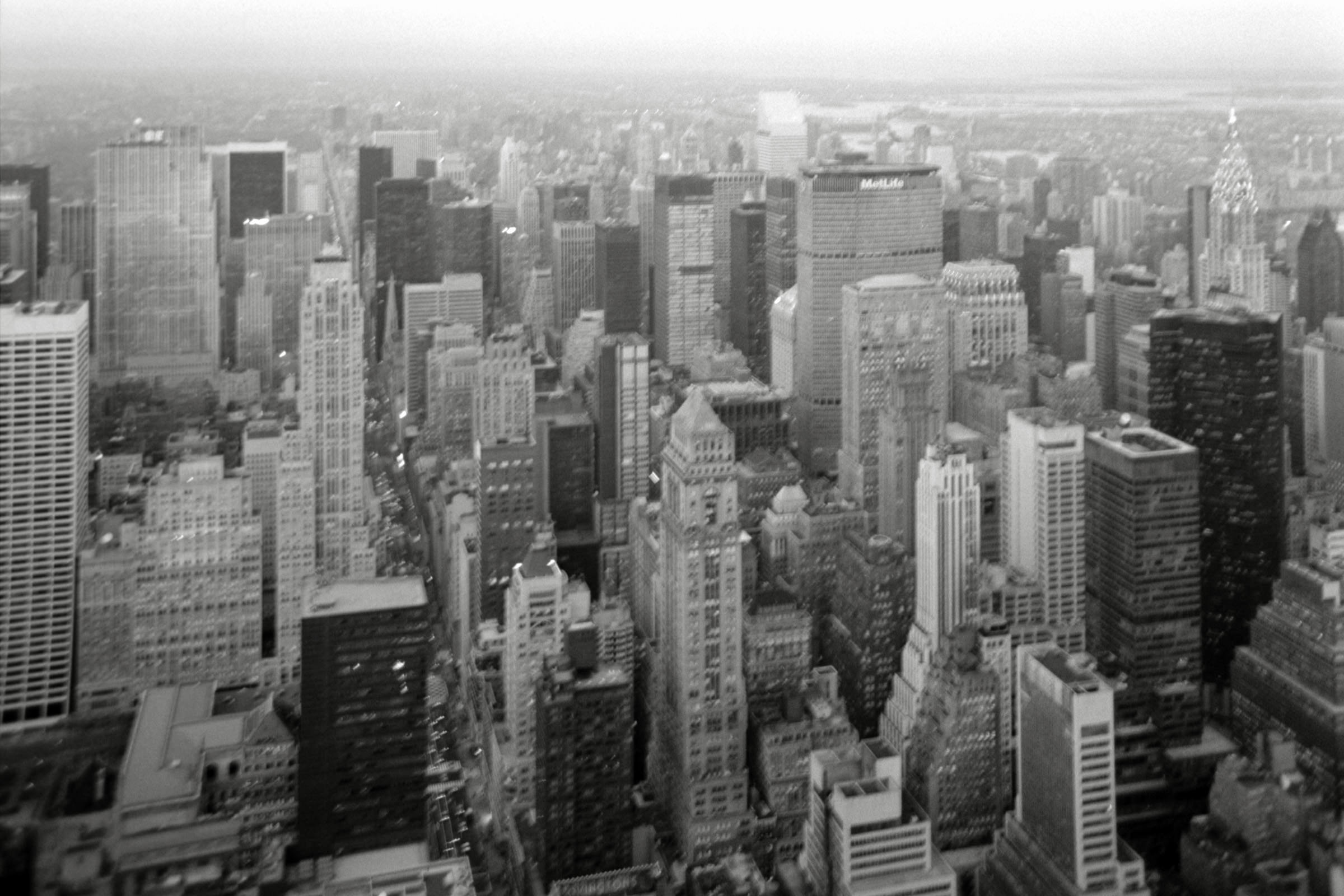 AHP F1995 04 007 sc240817 img16 NLP